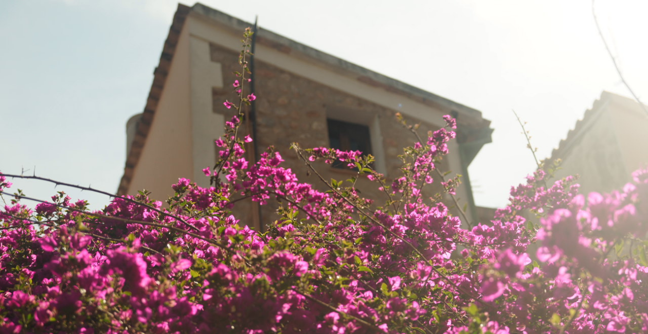 live soller terraza hotel soller
